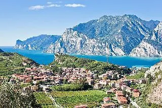 Continental 가르다